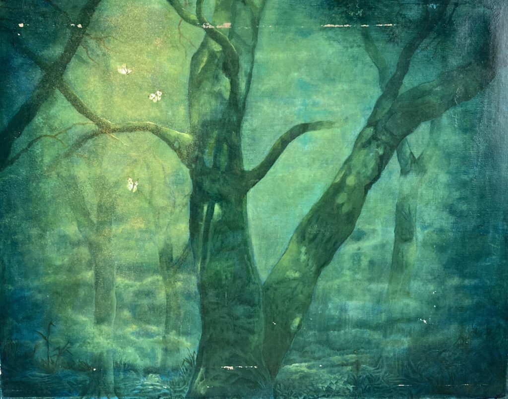 樹と光が紡ぐ世界