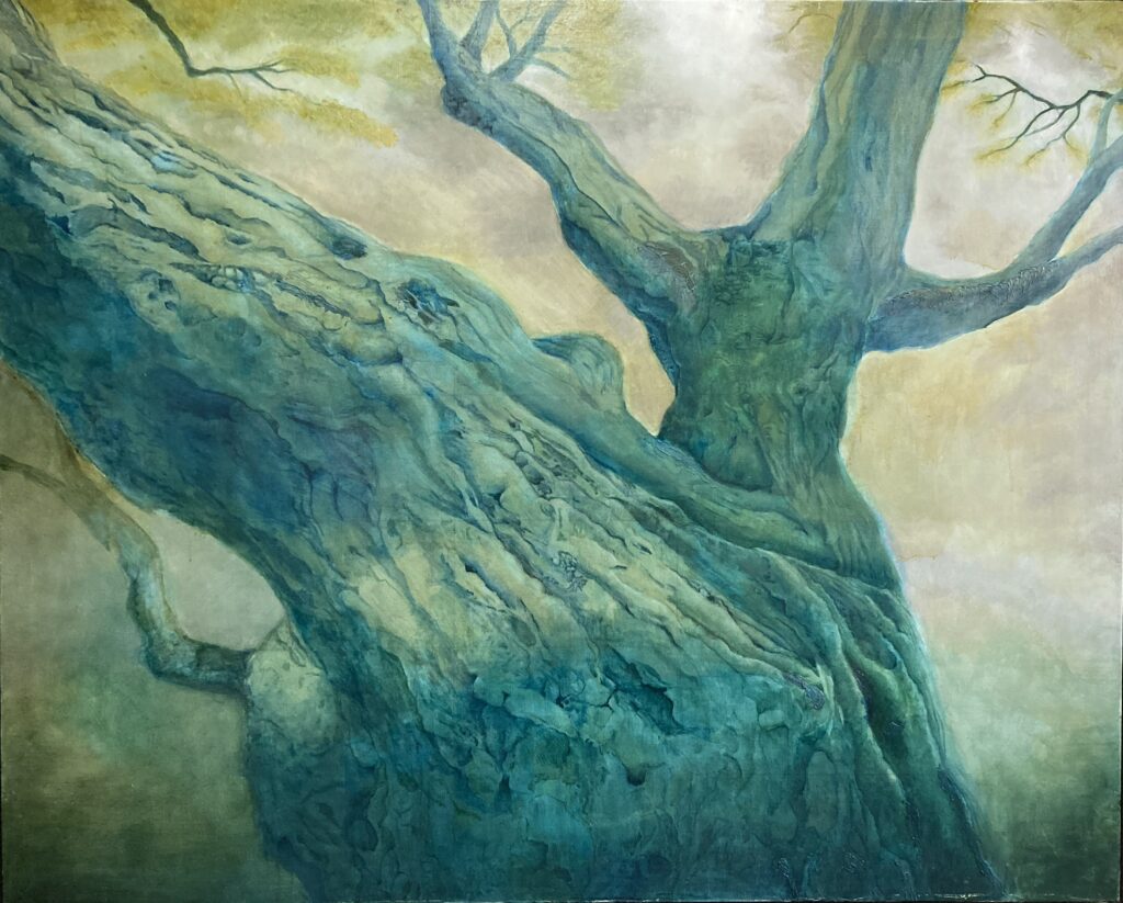 樹と光が紡ぐ刻2015