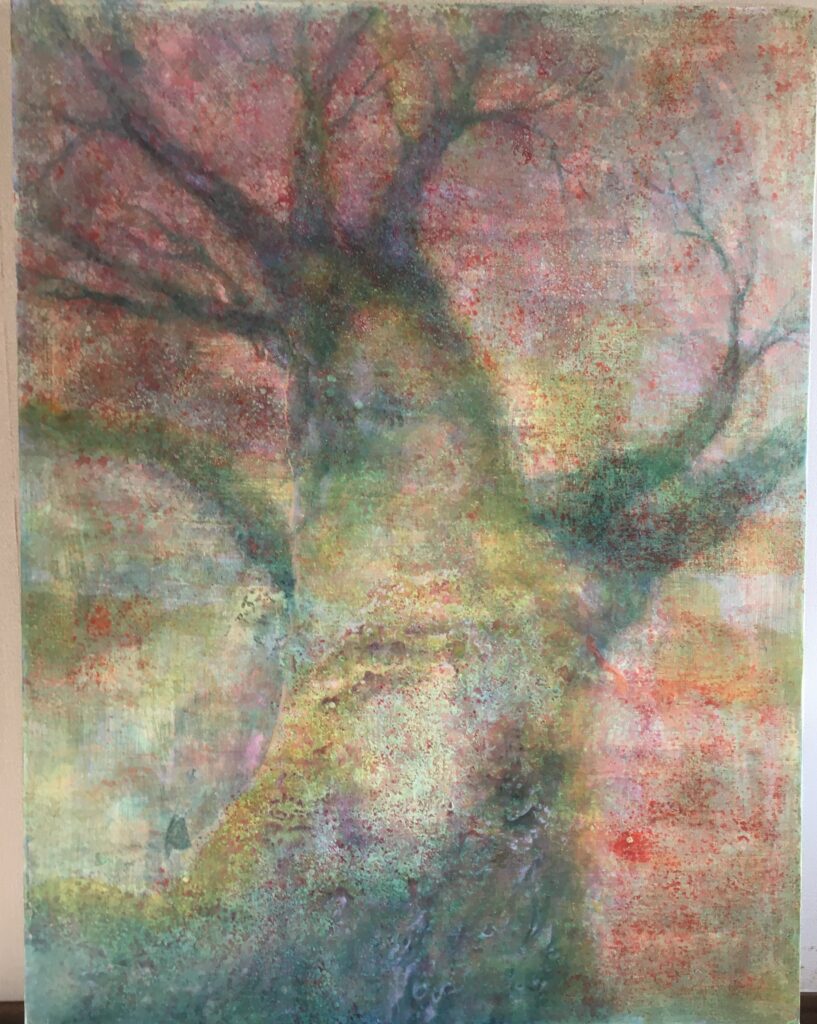 樹と光が紡ぐ刻2016B