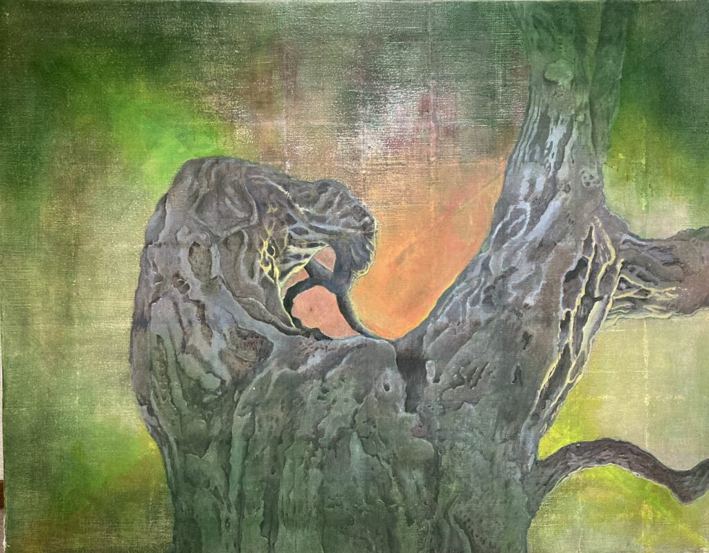 樹と光が紡ぐ刻2016